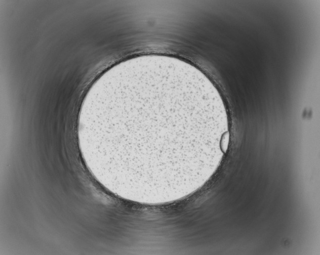X0000114220481200911201049