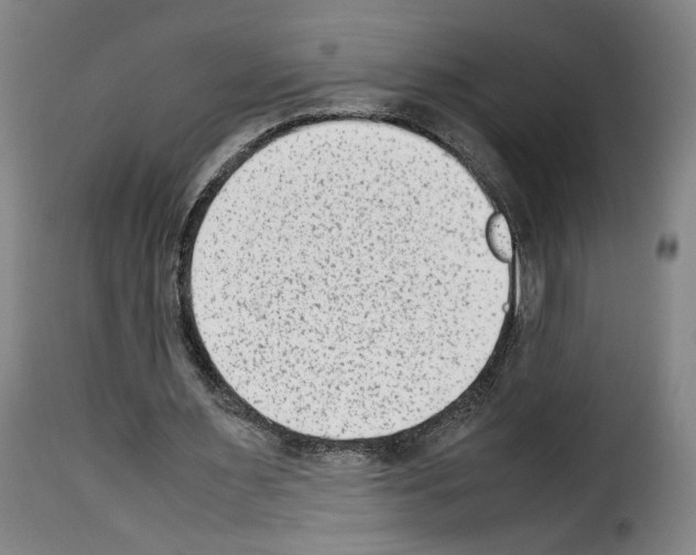 X0000114220483200911201049