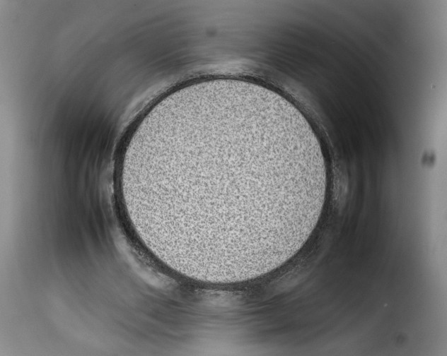 X0000114220486200911201049