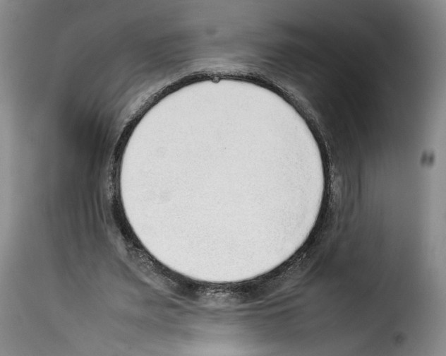 X0000114220487200911201049