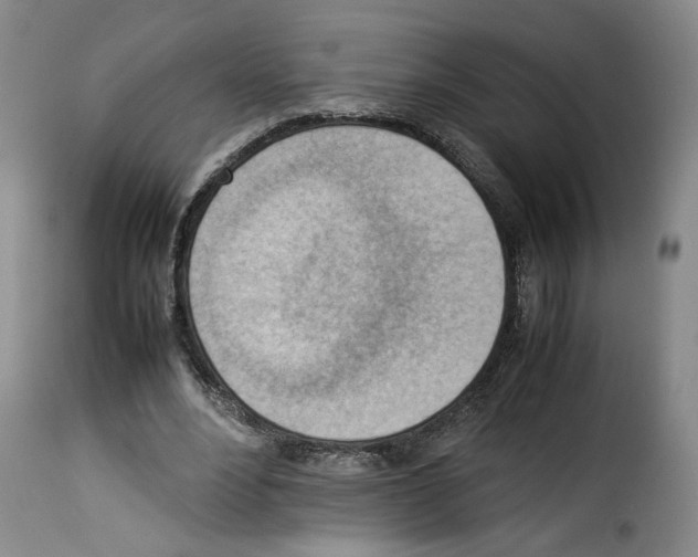 X0000114220488200911201049