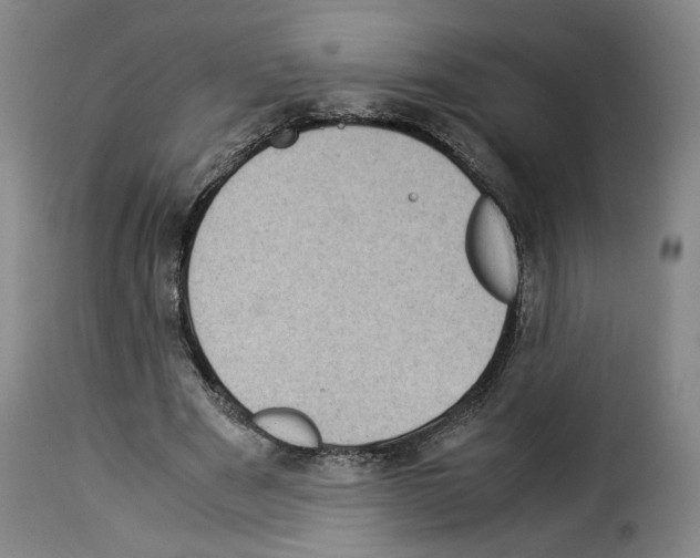 X0000114220489200911201049