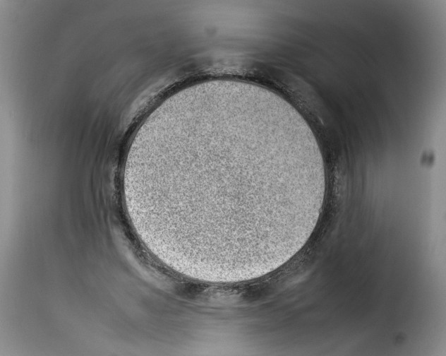 X0000114220491200911201049