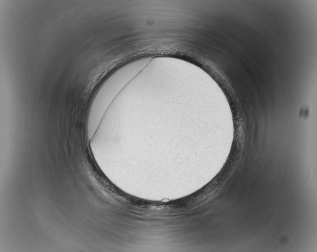 X0000114220493200911201049