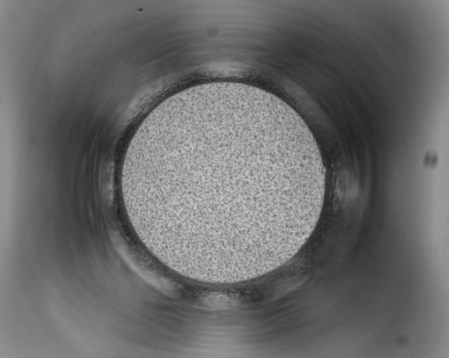 X0000114220494200911201049