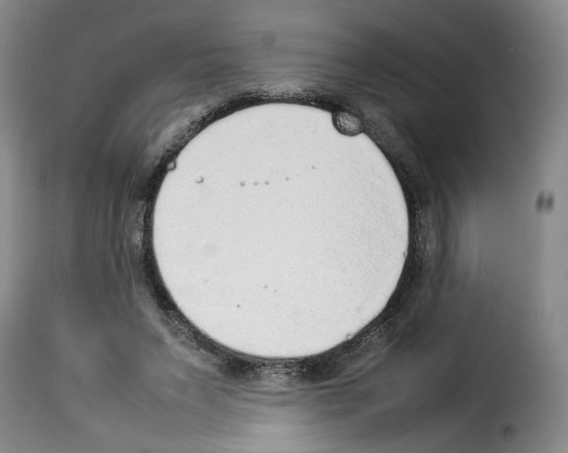 X0000114220495200911201049