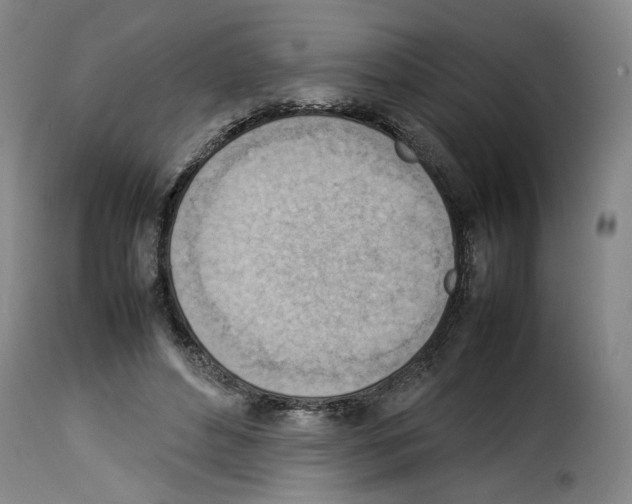 X0000114220496200911201049