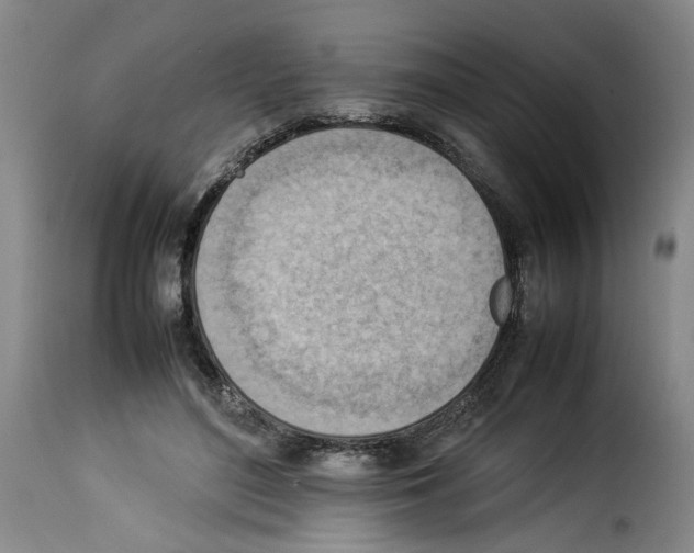 X0000114220500200911201049