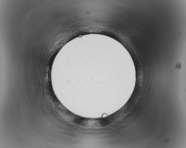 X0000114220501200911201049