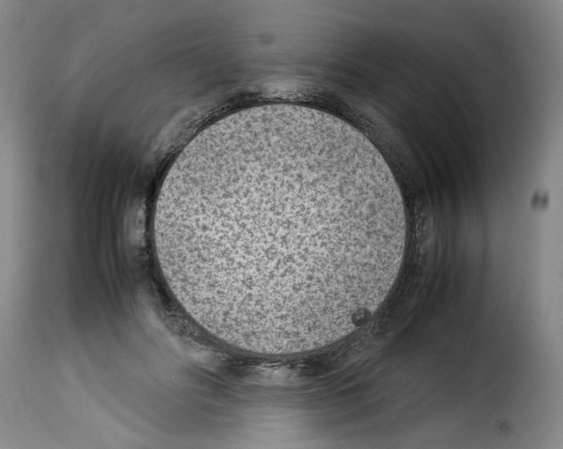 X0000114220502200911201049