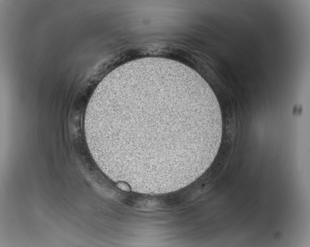 X0000114220503200911201049