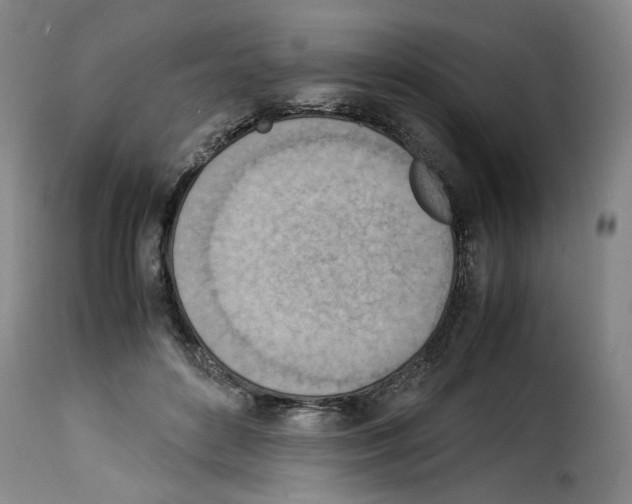 X0000114220504200911201049