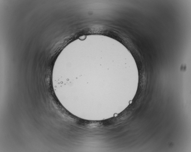 X0000114220505200911201049