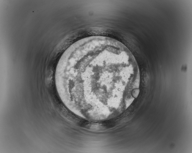 X0000114220507200911201049