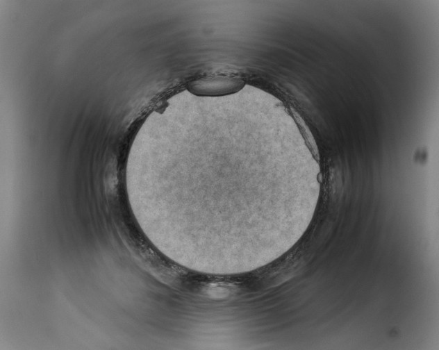 X0000114220508200911201049