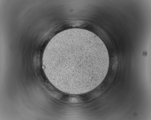 X0000114220510200911201049