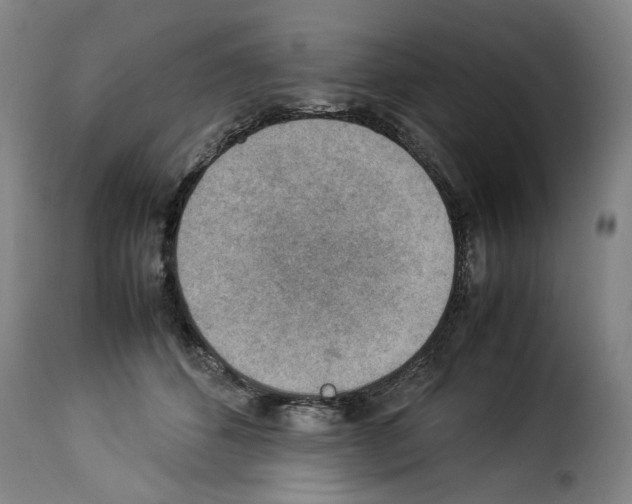 X0000114220512200911201049