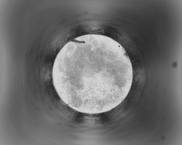 X0000114220515200911201049