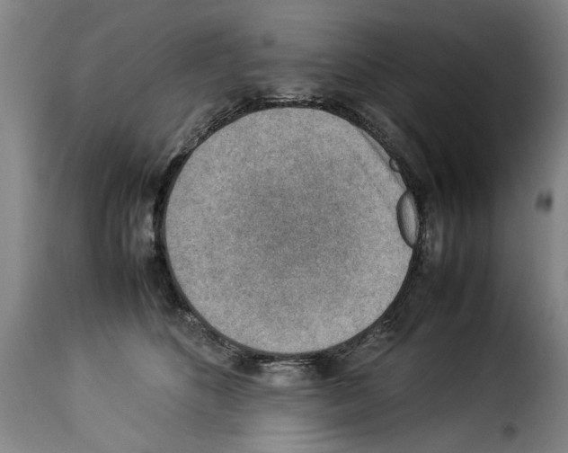 X0000114220516200911201049