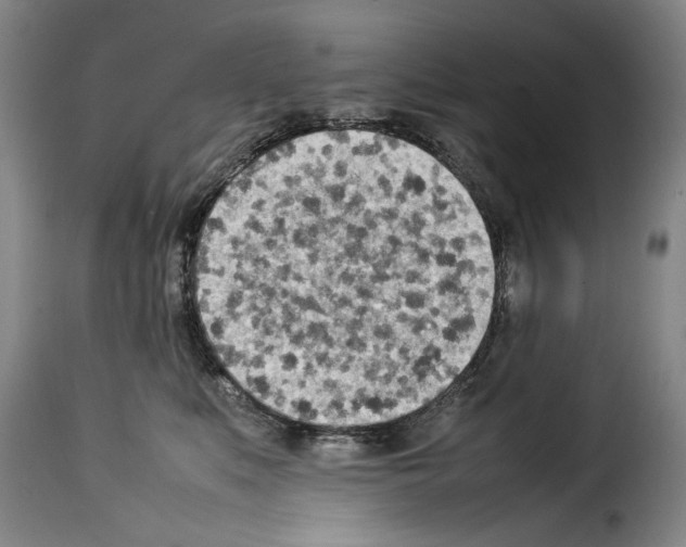 X0000114220519200911201049