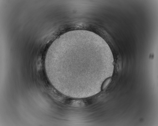 X0000114220520200911201049