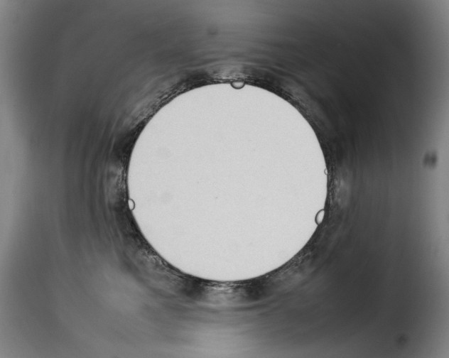 X0000114220521200911201049