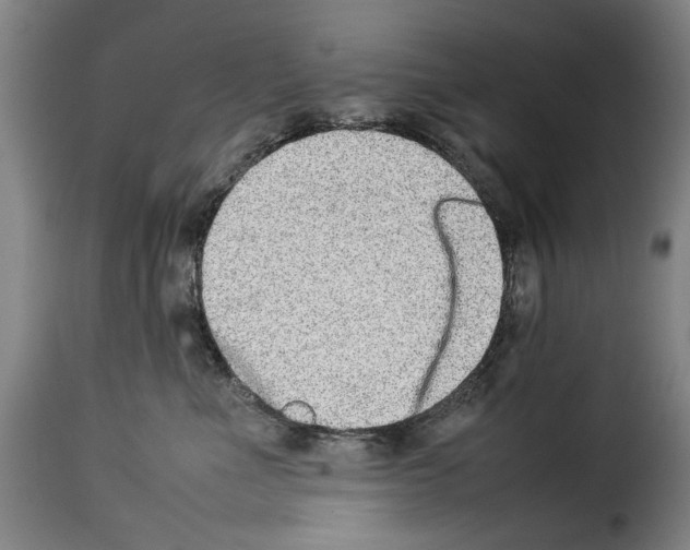 X0000114220523200911201049