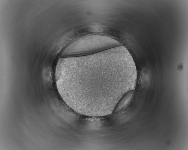 X0000114220524200911201049