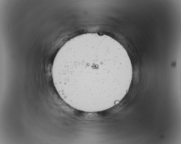 X0000114220525200911201048
