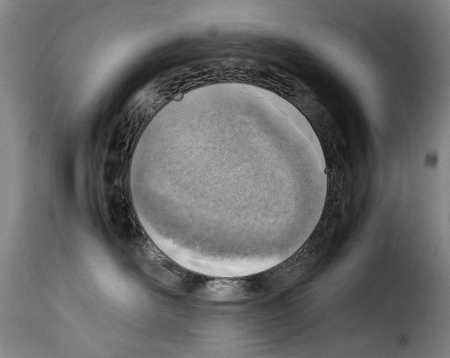 X0000114220526200911201048