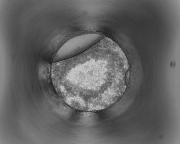 X0000114220528200911201048
