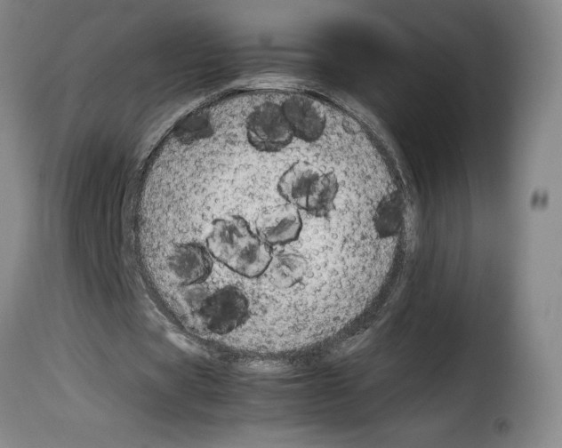 X0000114220529200911201048