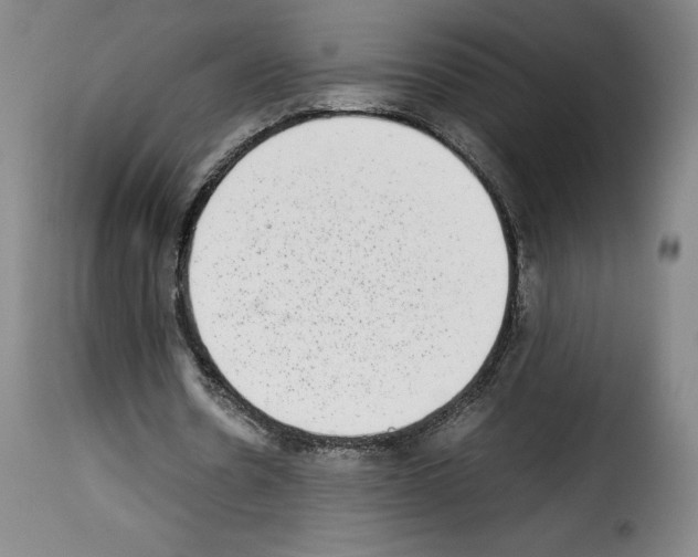 X0000114220530200911201048