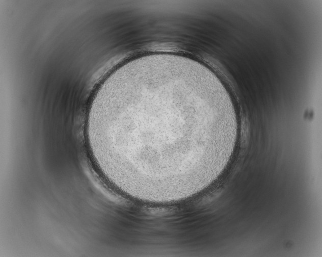 X0000114220533200911201048