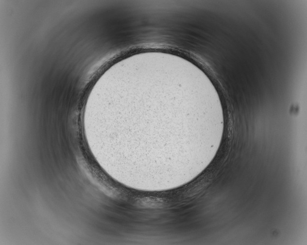X0000114220535200911201048