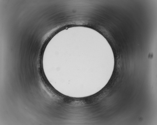 X0000114220536200911201048