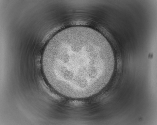 X0000114220537200911201048