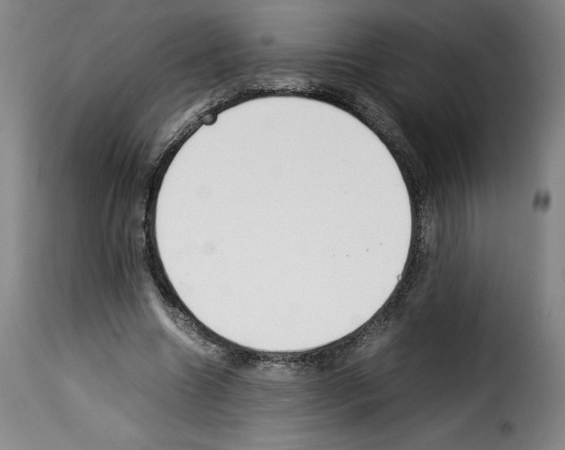 X0000114220538200911201048