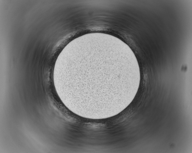X0000114220539200911201048
