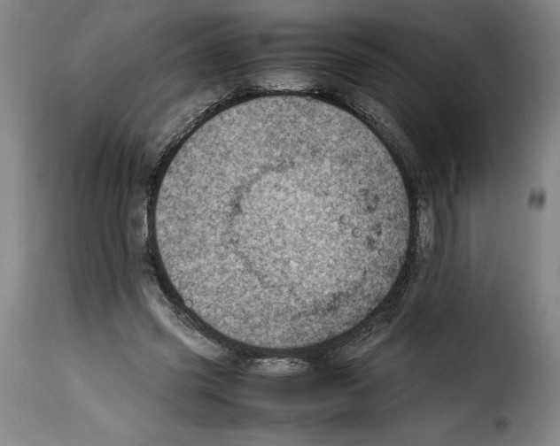 X0000114220541200911201048