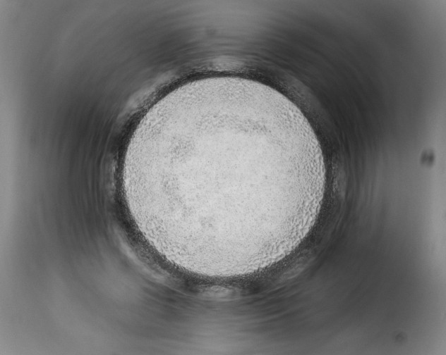 X0000114220542200911201048