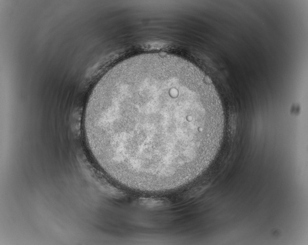 X0000114220545200911201048