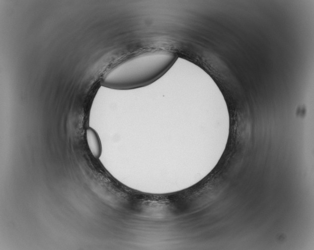 X0000114220548200911201048