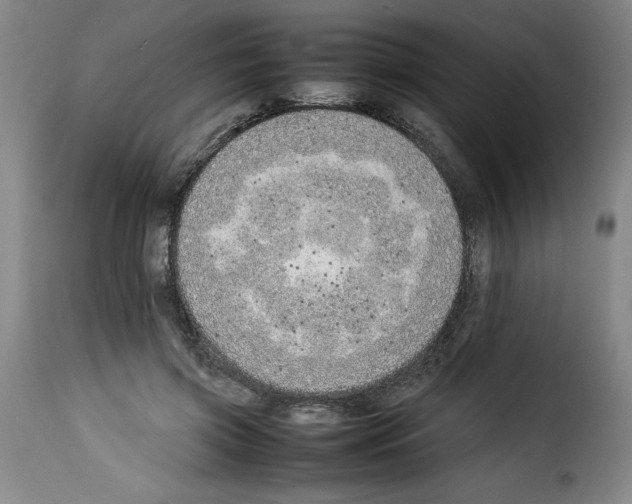 X0000114220549200911201048