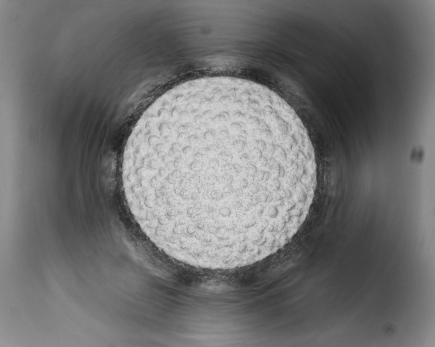 X0000114220550200911201048