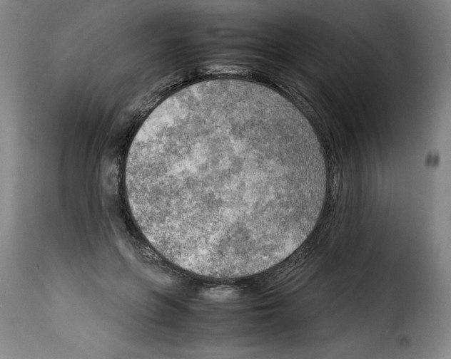 X0000114220551200911201048