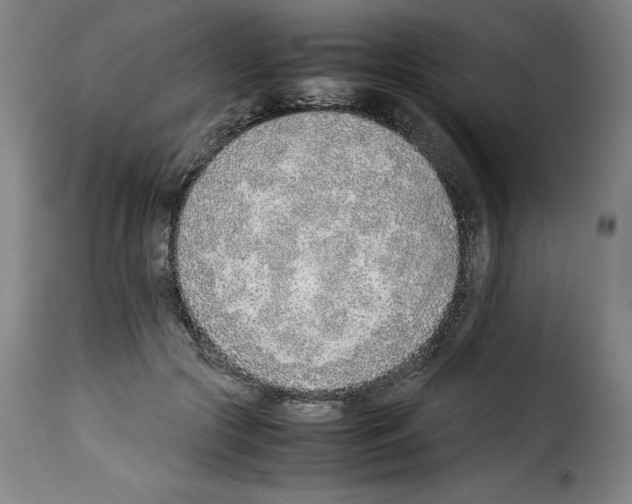X0000114220553200911201048
