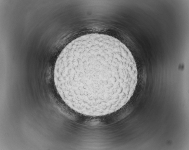 X0000114220554200911201048