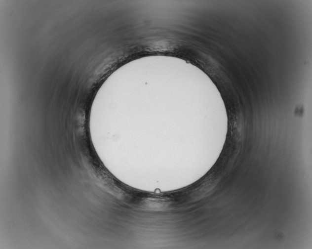 X0000114220556200911201048