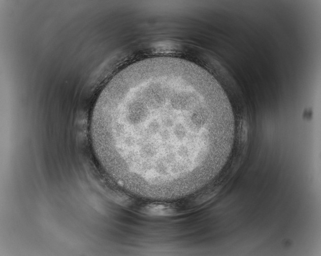 X0000114220557200911201048
